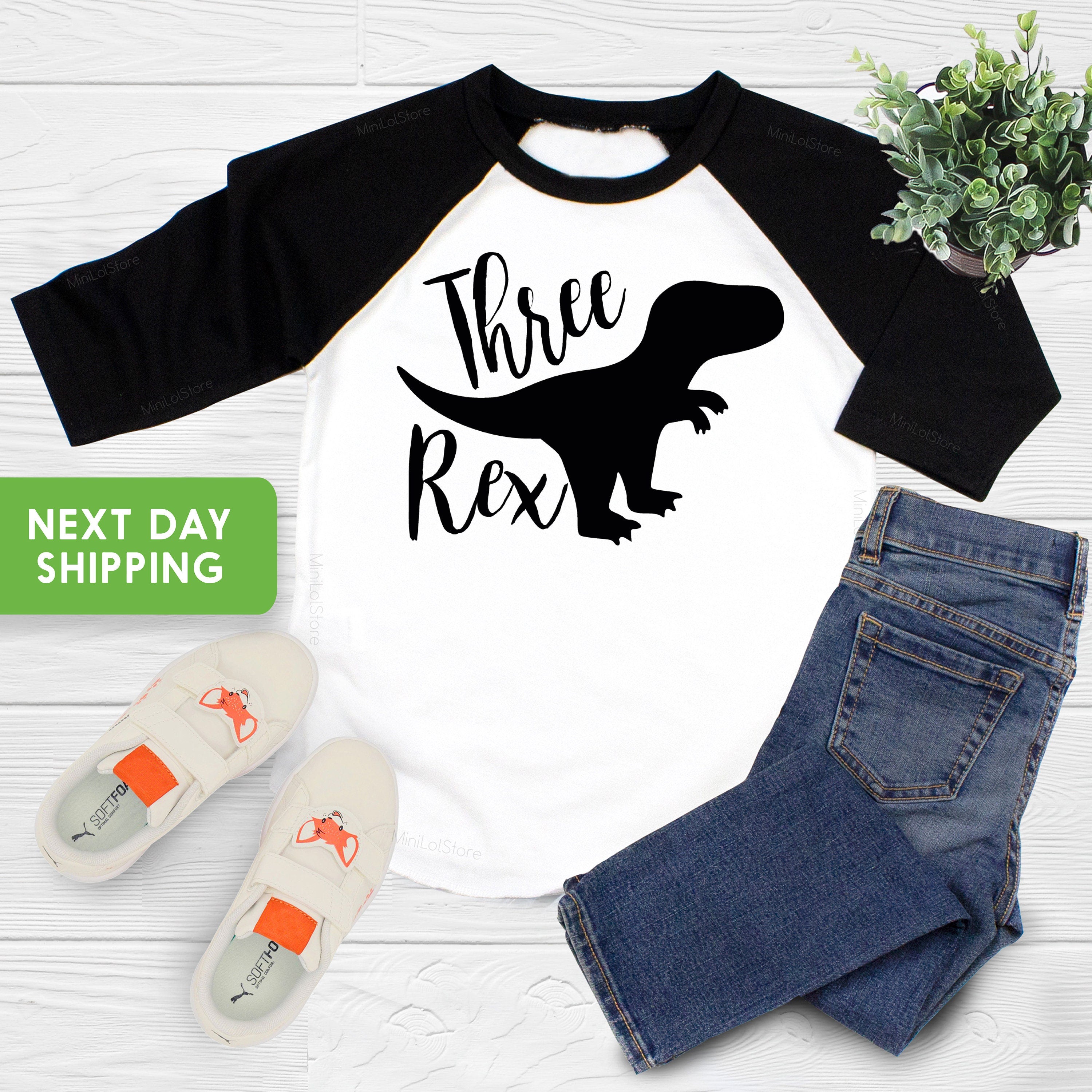 Dinosaur Birthday Shirt, 3rd Birthday Shirt, Three Rex, Third Birthday Shirt, 3rd Birthday Tee, Birthday Shirt, Dinosaur Shirt, 3 Rex