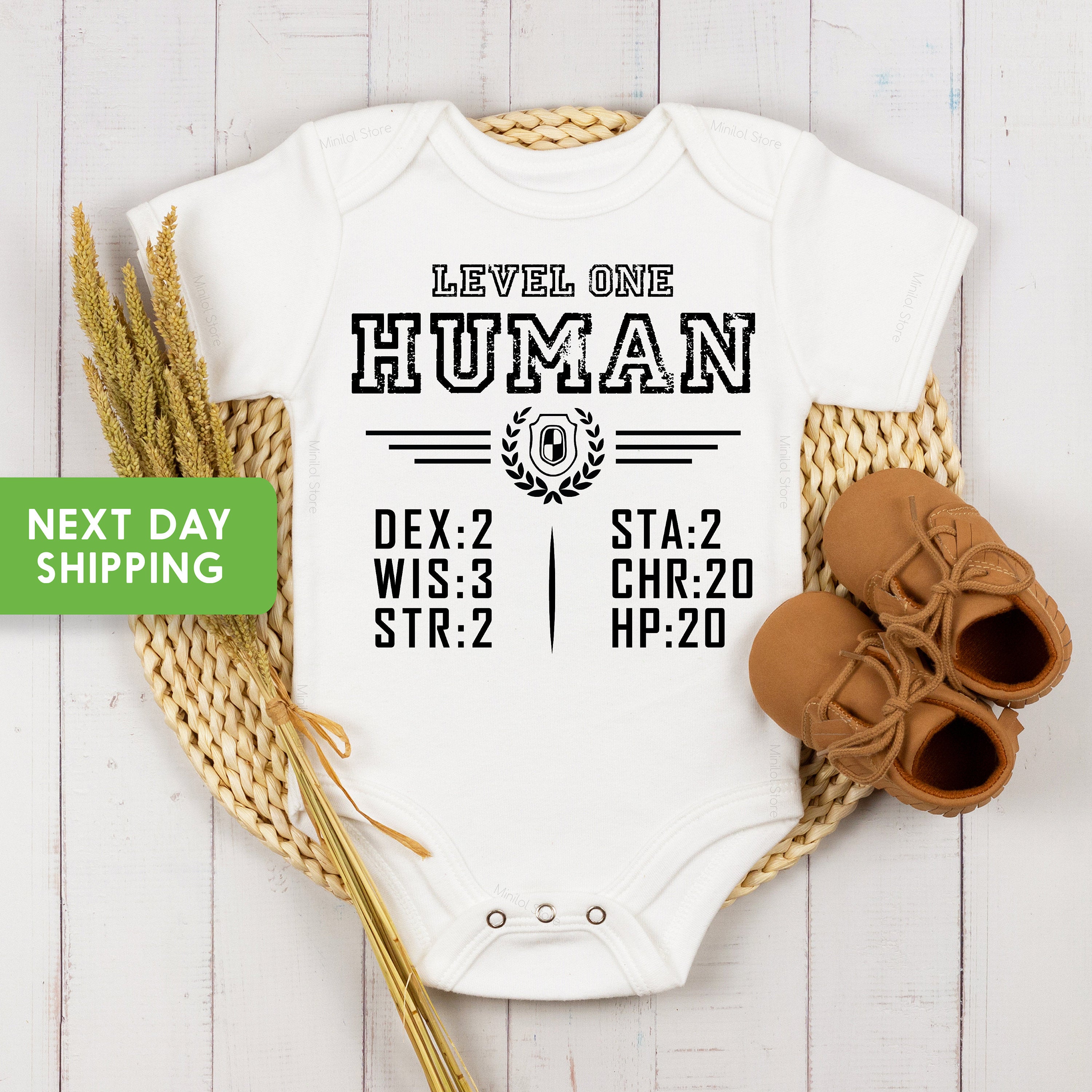 Level One Human Baby Bodysuit, Funny Gamer Baby OnesieĀ® Level 1 Human Bodysuit, New Character Created, Nerd Baby Clothes, Funny Baby Gift