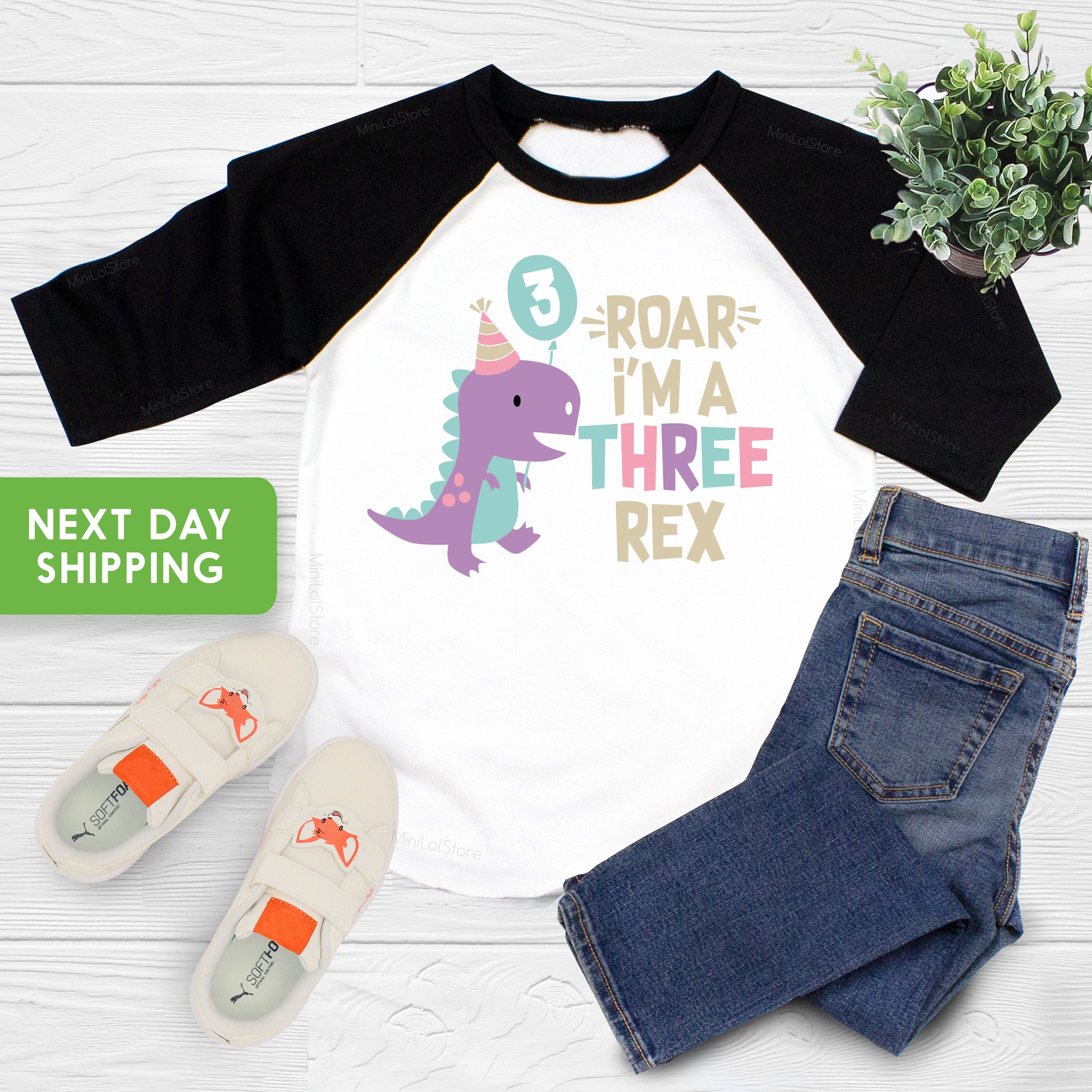 Dinosaur Birthday Raglan, Dino Birthday T-Shirt, Dinosaur Girl Shirts, Dinosaur Shirt, Girl Birthday Shirt, Girl Shirt