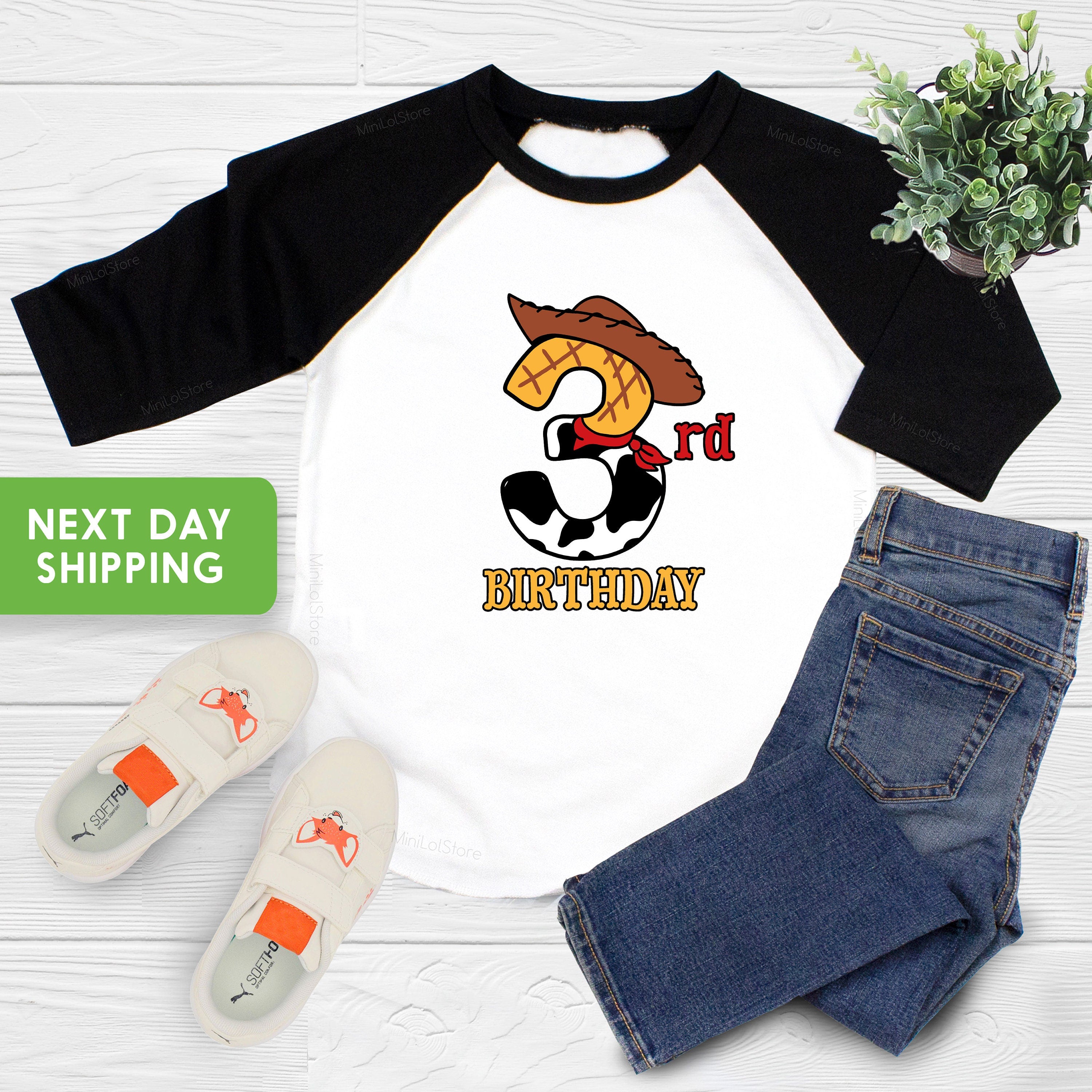 Cowboy Birthday Shirt, Third Birthday Boy Shirt, Raglan Woody Birthday Shirt, Cowboy Birthday Party Shirt