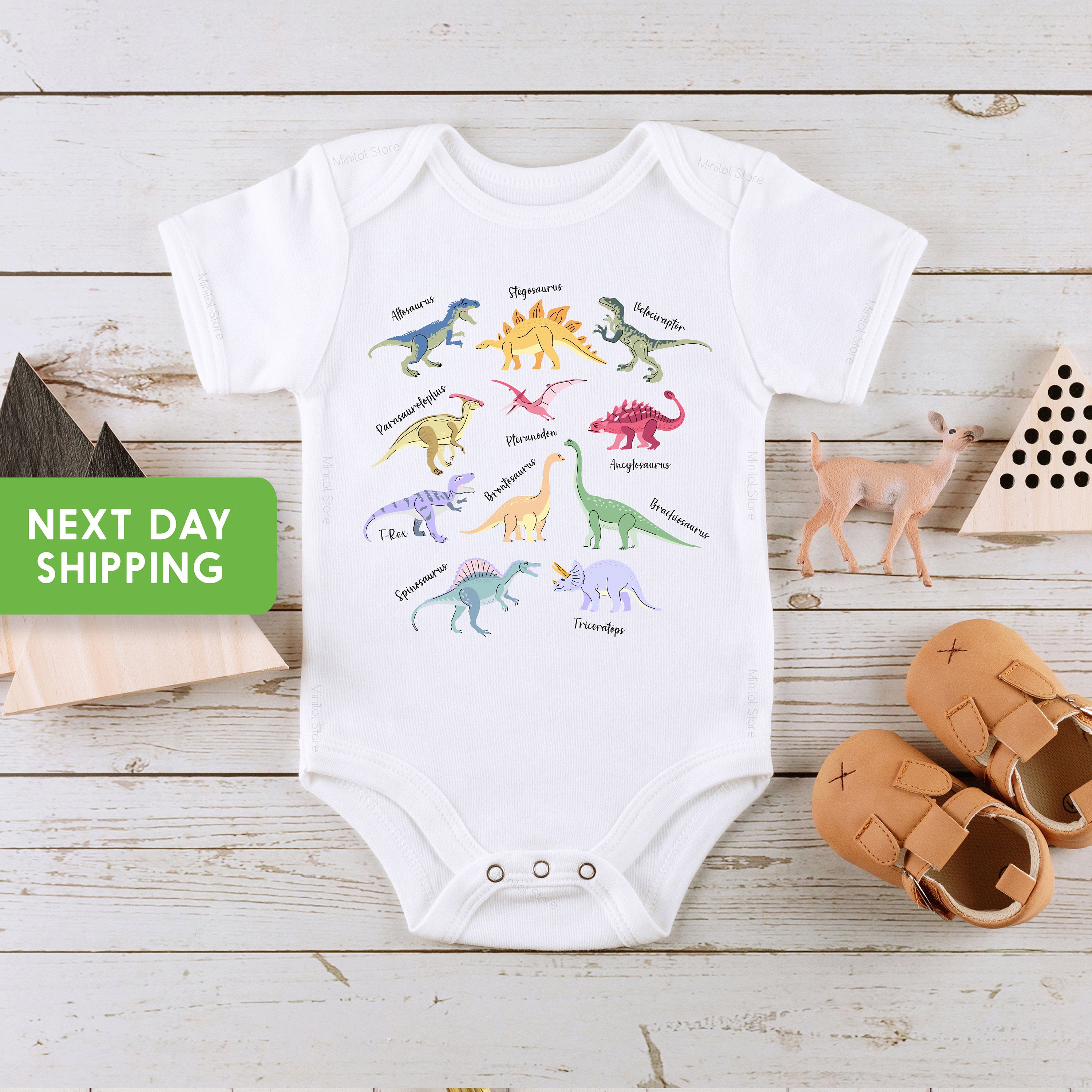 Cute Dinosaur Toddler Shirt, Future Paleontologist, Dino Names, Types of Dinosaurs Kids Retro TShirt, Dinosaurs Baby Bodysuit, Youth Shirt