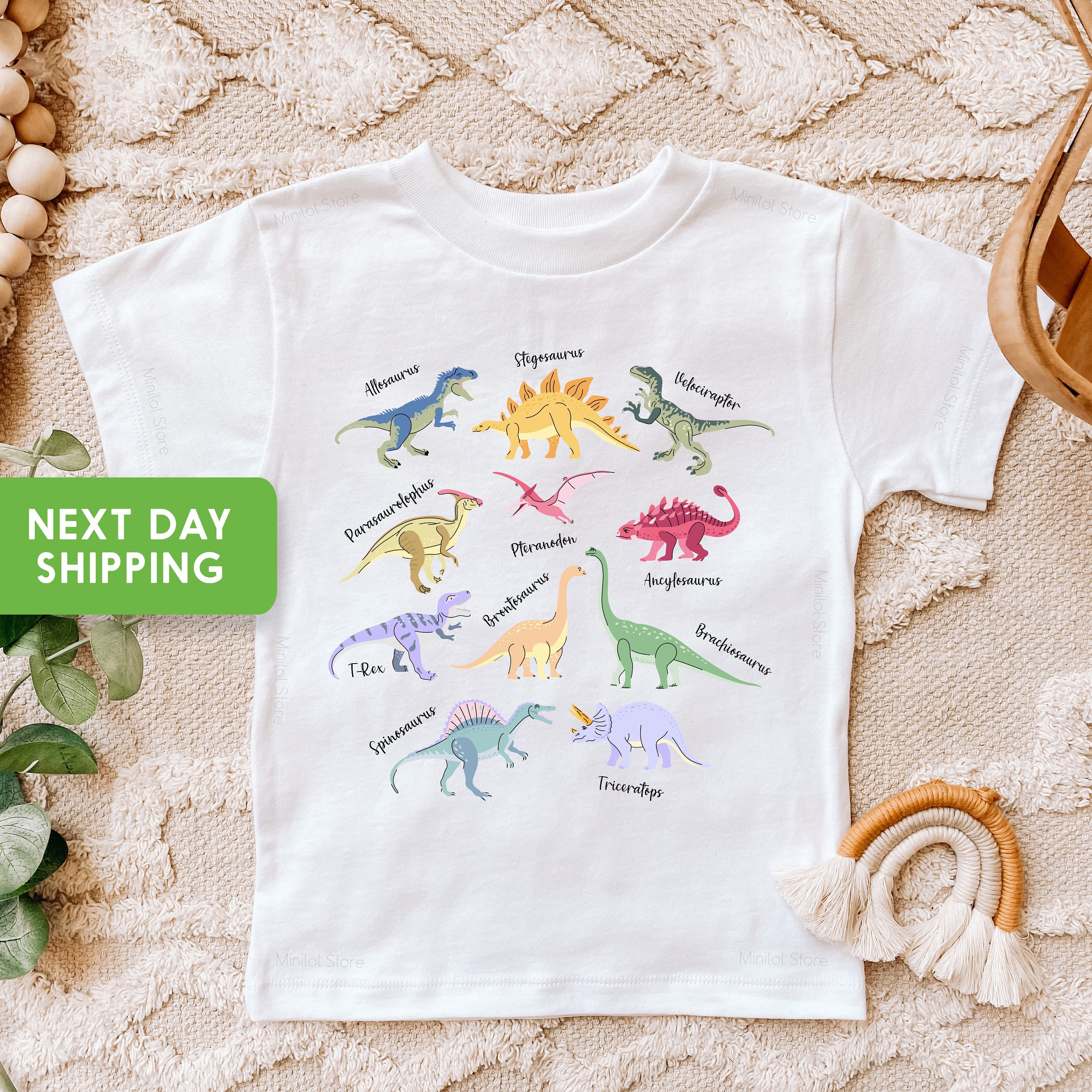 Cute Dinosaur Toddler Shirt, Future Paleontologist, Dino Names, Types of Dinosaurs Kids Retro TShirt, Dinosaurs Baby Bodysuit, Youth Shirt