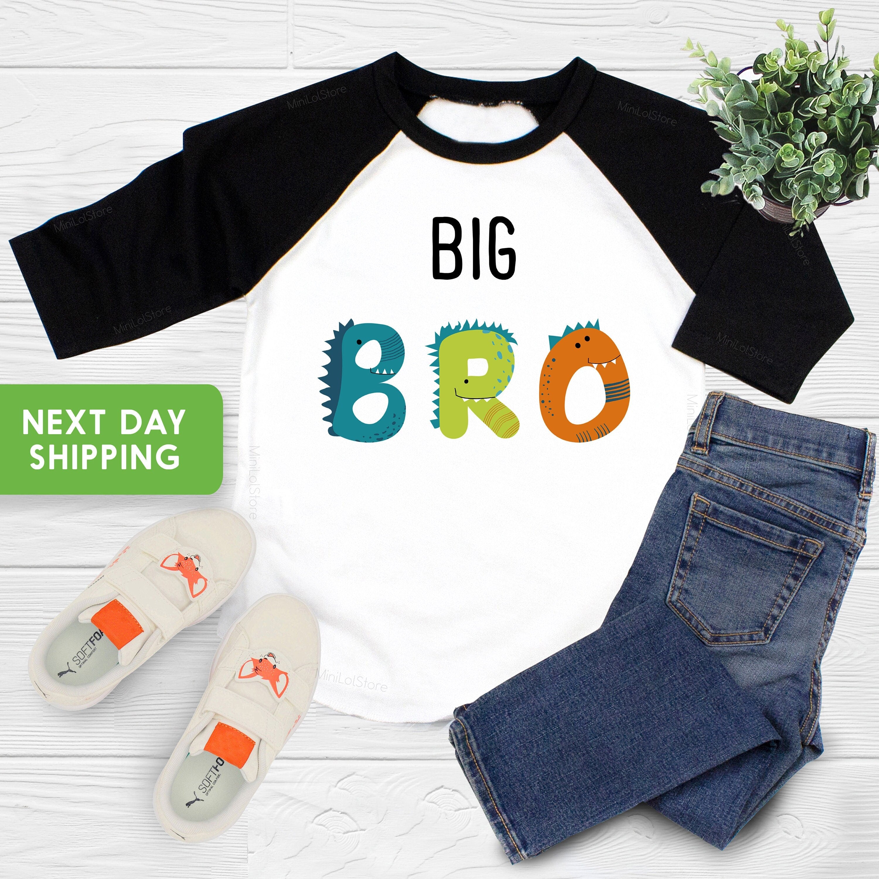 Big Bro Announcement Shirt, Big Brother Shirt, Big Bro Kids Shirt, Sibling Tees, Baby Announcement, Pregnancy Announcement, Pregnancy Reveal