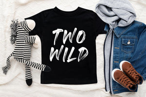 Two Wild Baseball Second Birthday Shirt birthday product image 2